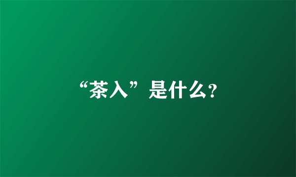 “茶入”是什么？