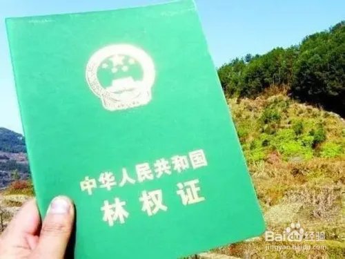 林木林地权属争议处理办法