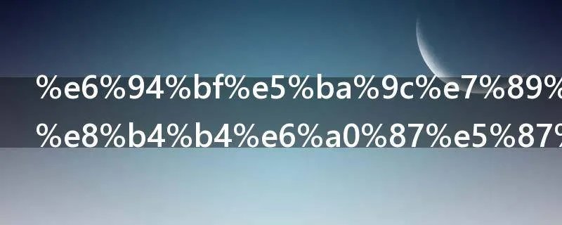 政府特殊津贴标准是怎样的