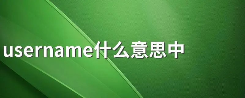 username什么意思中文 username的意思
