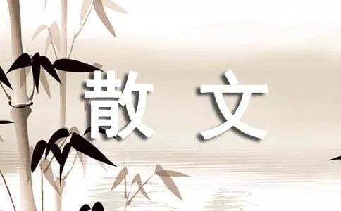 水乡好美丽的地方散文