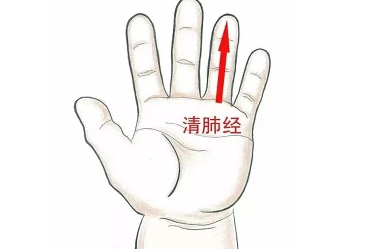 小儿推拿手部按摩图