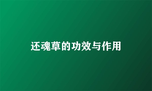 还魂草的功效与作用