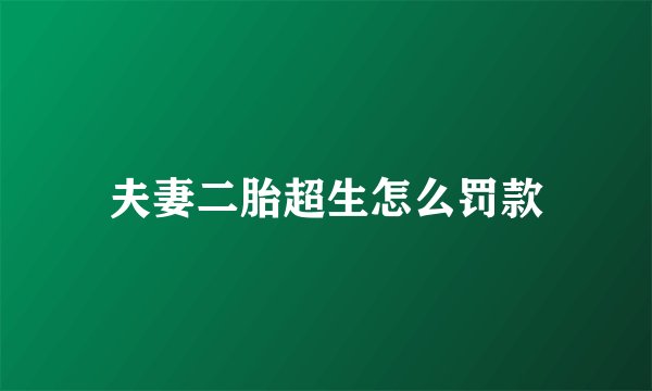 夫妻二胎超生怎么罚款