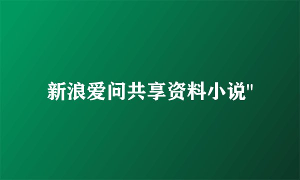 新浪爱问共享资料小说