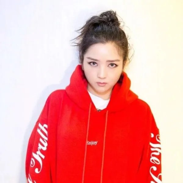 何洁赫子铭为什么离的婚 赫子铭那个太大怎么回事