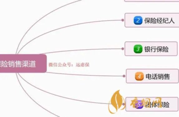 习酒1988白酒价格：市场行情分析与推荐购买渠道