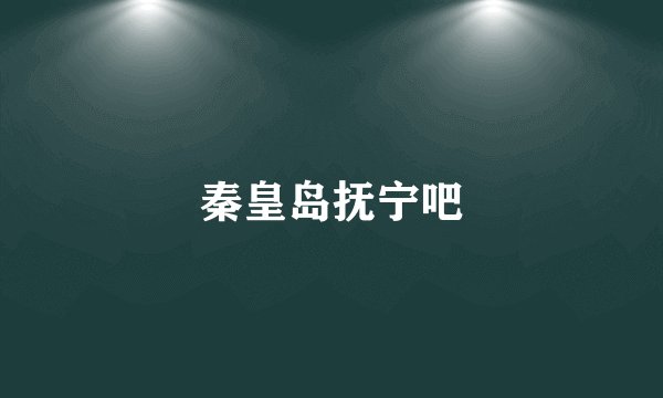 秦皇岛抚宁吧