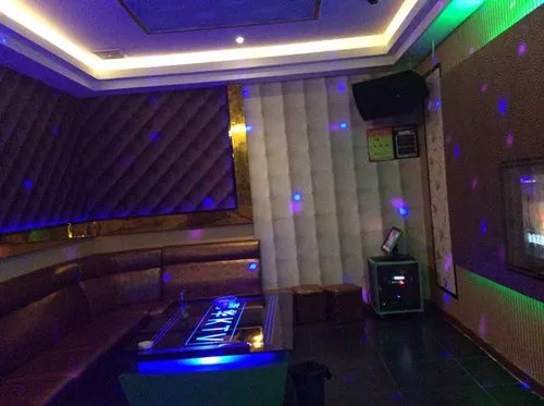 ktv专用音响价格  ktv音响一般什么牌子好