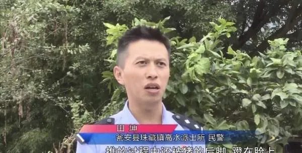 民警为救猪跳进化粪池的做法值不值得？猪是如何掉进去的？