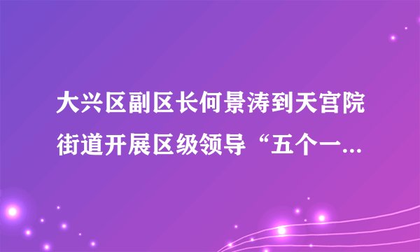 大兴区副区长何景涛到天宫院街道开展区级领导“五个一”慰问调研