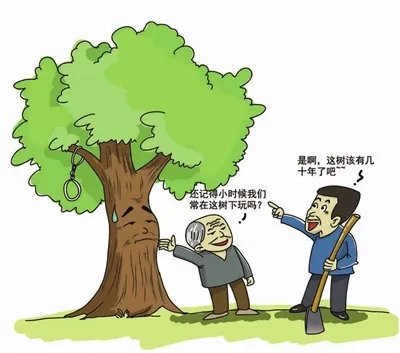 香樟树的影子的介绍