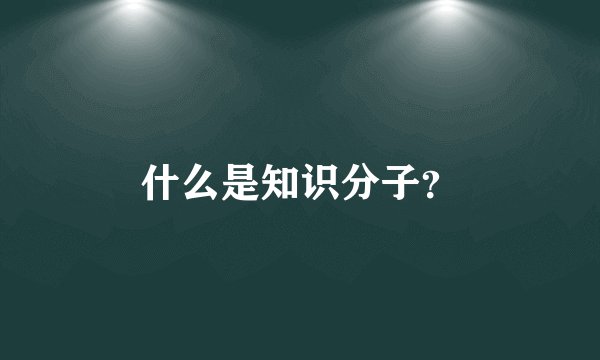 什么是知识分子？