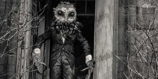 鸮人的各种猜测