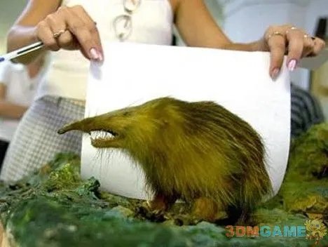 巨丑无比吓倒众人！世界上最丑陋的13种动物