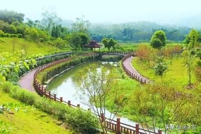 农村怎样致富？