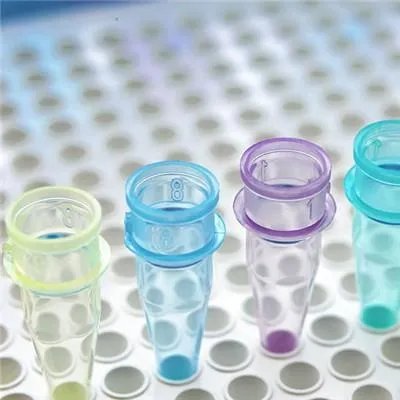 白化病是什么病