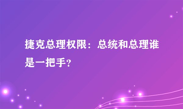 捷克总理权限：总统和总理谁是一把手？