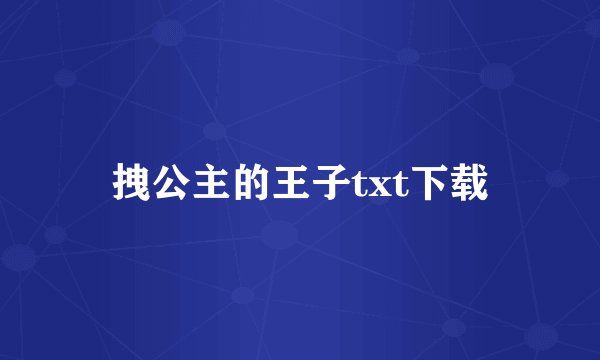 拽公主的王子txt下载