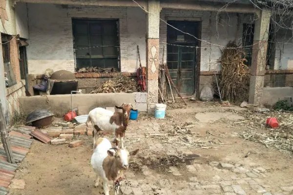 扶贫干部驻村11年从小伙成大叔，他的背后有何感人故事？