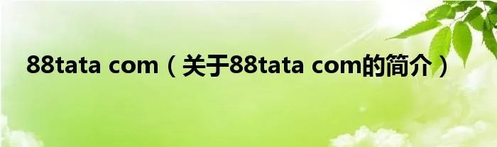 88tata com（关于88tata com的简介）