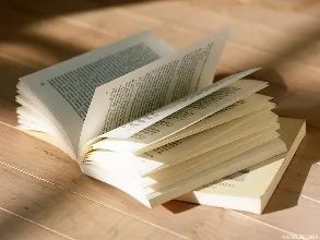 《穷小子的都市艳遇》这本书不错哎，还有这样的都市小说吗？