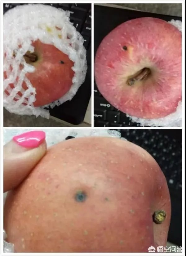 浙江青田一女子收到毒苹果快递，快递公司表示无法准确提供寄件人的信息，这事你怎么看？