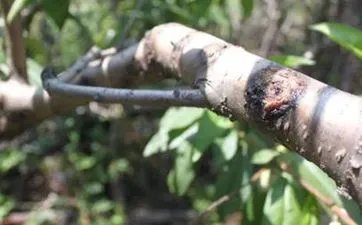 2022年11月放假安排时间表