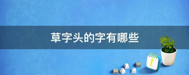 草字头的字有哪些