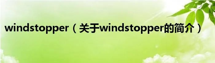 windstopper（关于windstopper的简介）