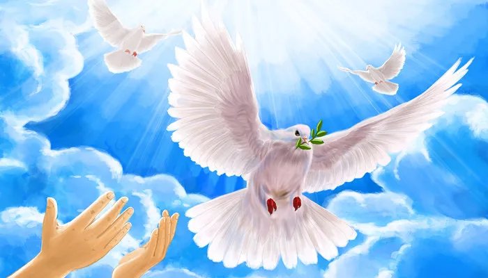 和平鸽的由来  和平鸽的来历
