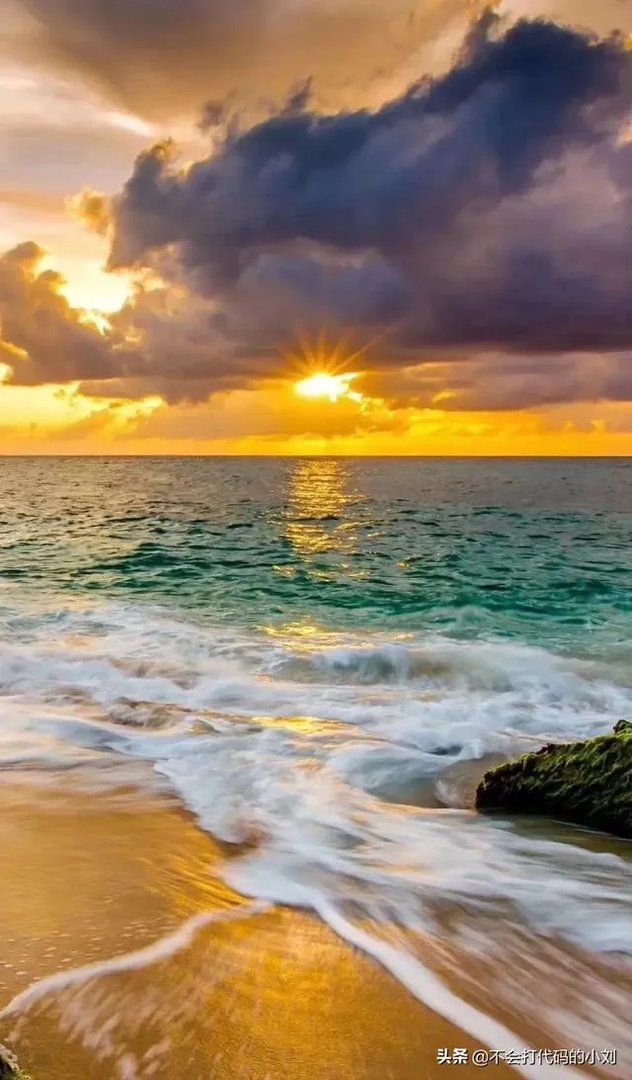 美文在今日头条里属于哪个领域？