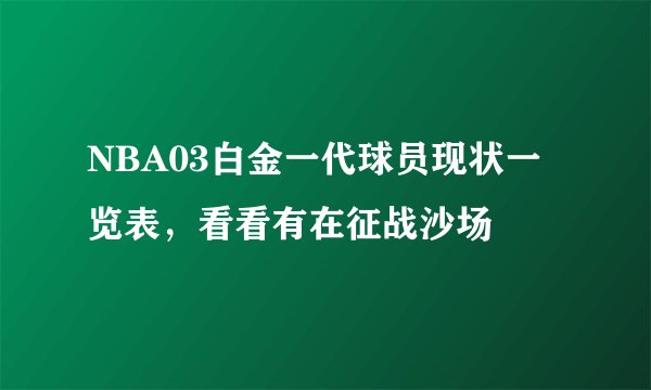 NBA03白金一代球员现状一览表，看看有在征战沙场