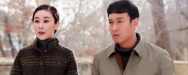 养母的花样年华评价 该剧讲述了什么故事