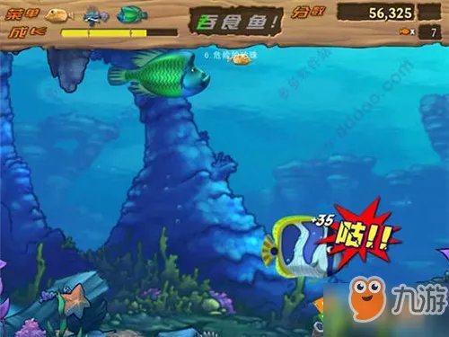 《吞食鱼2》攻略大全 全关卡通关方法汇总