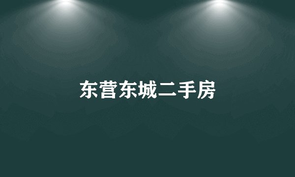 东营东城二手房