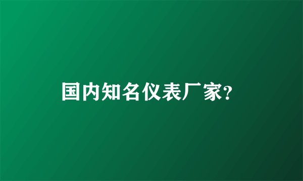国内知名仪表厂家？