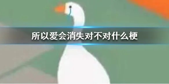 所以爱会消失对不对什么梗 所以爱会消失对不对梗出处介绍