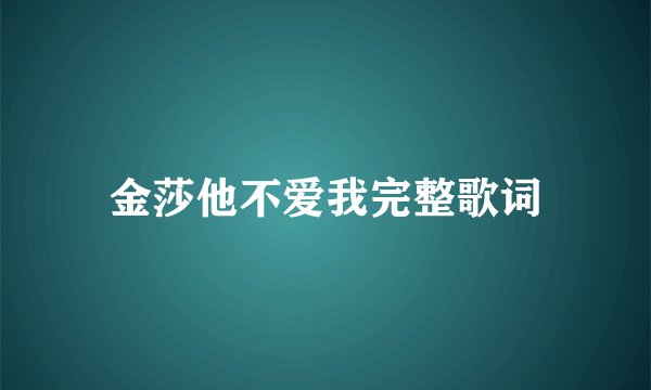 金莎他不爱我完整歌词