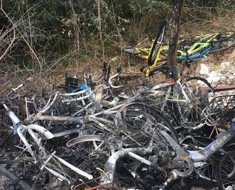 为什么成都共享单车会被集中烧毁？