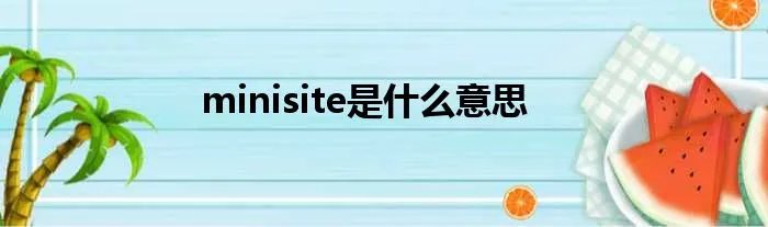 minisite是什么意思