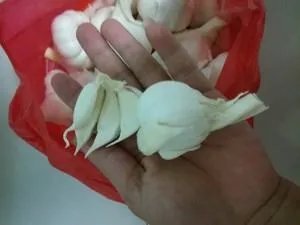 怎么做好吃 糖蒜最正宗的做法