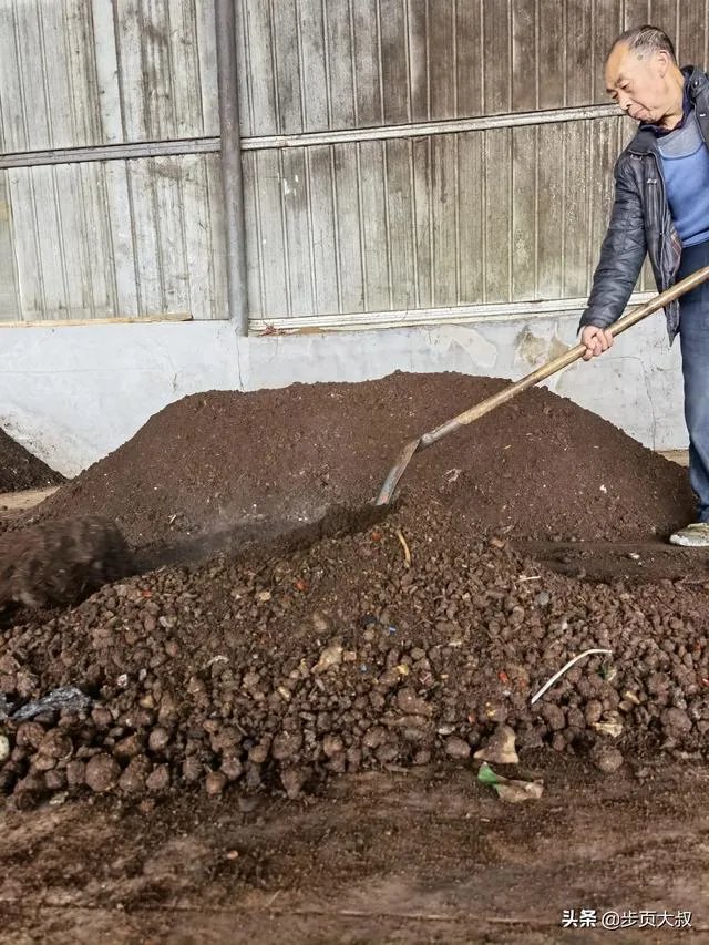 央视网评娱乐歪风