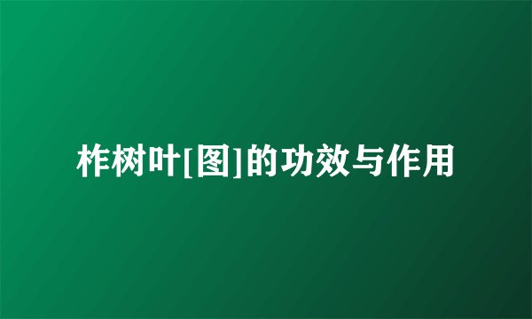 柞树叶[图]的功效与作用