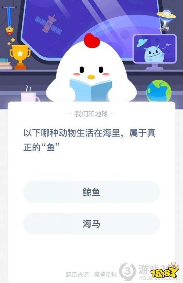 鲸鱼和海马哪种动物生活在海里属于真正的鱼？