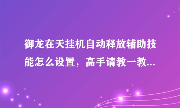 御龙在天挂机自动释放辅助技能怎么设置，高手请教一教！！！在线等!!