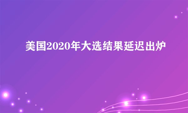 美国2020年大选结果延迟出炉