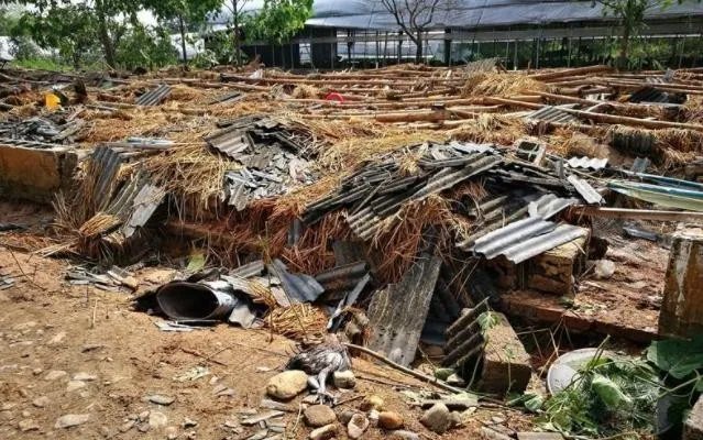 浙龙卷风掀翻鸡舍是怎么回事？