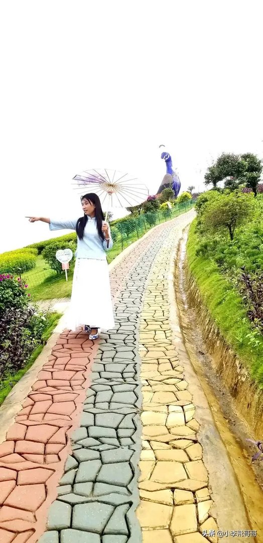 为什么中国是龙图腾不是凤图腾？