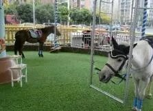 成都旋转真马游戏，乘坐旋转真马该注意哪些？